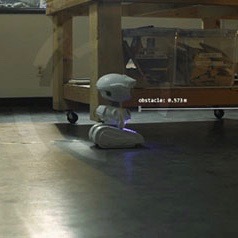 Movimiento autónomo